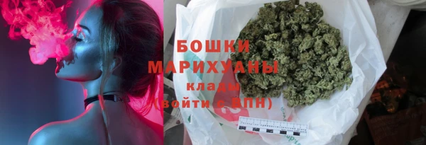 спиды Богородск