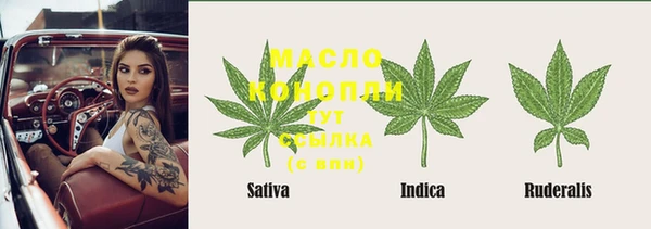 спиды Богородск
