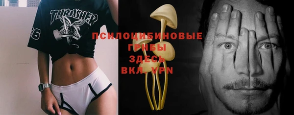 стафф Богородицк