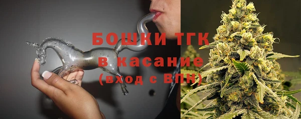 спиды Богородск