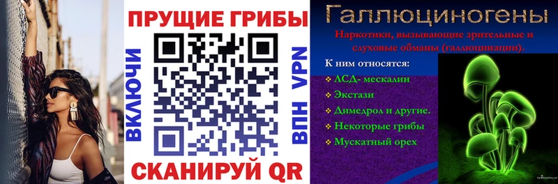 где купить наркоту  Иркутск  Галлюциногенные грибы мицелий 